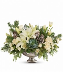 Winter Wilds from Metropolitan Plant & Flower Exchange, local NJ florist